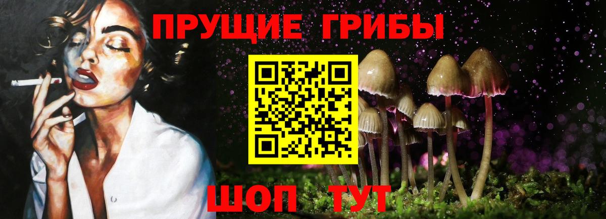 Псилоцибиновые грибы мицелий  Вход с VPN  Псилоцибиновые грибы Cubensis  Орёл 